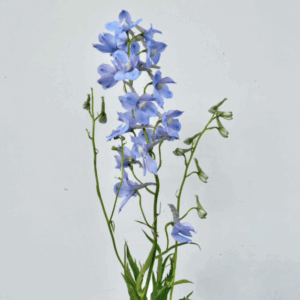 Delphinium (Light Blue) - 60 cm